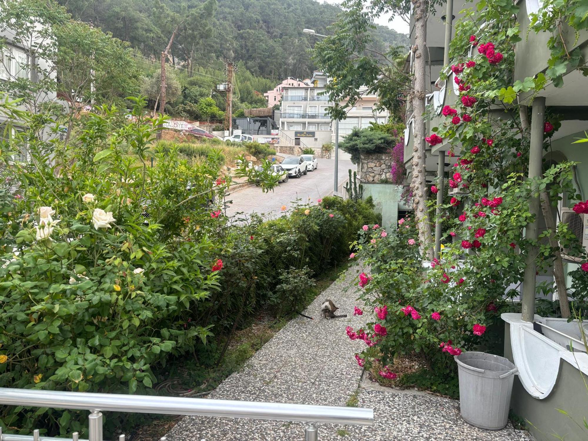 Ideal Pension Fethiye Bagian luar foto